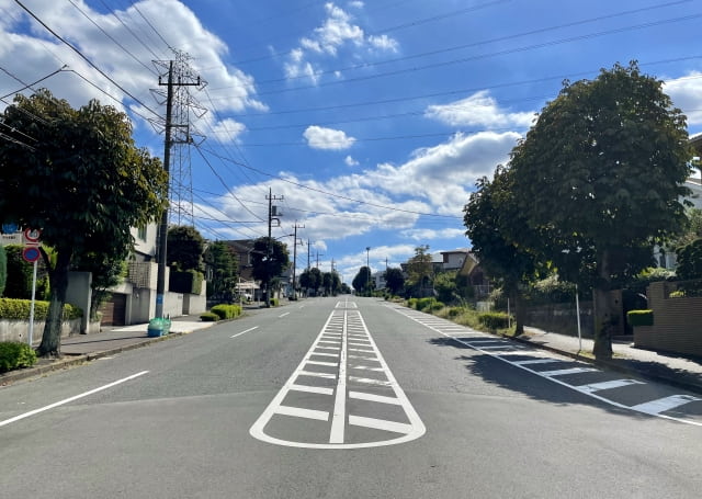 ゼブラゾーン(導流帯)、中央線