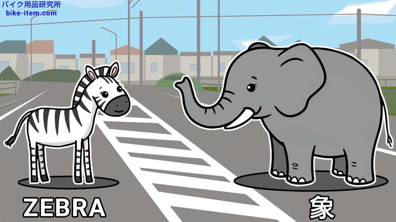 ゼブラゾーン、イメージイラスト